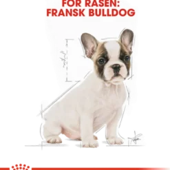 Fransk bulldogge valp tørrfôr for valp 3 kg