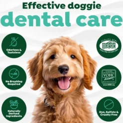 Fresh Breath Dental Health Solution 473 ml