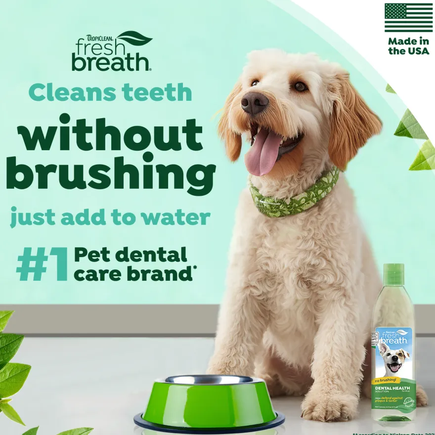 Fresh Breath Dental Health Solution 473 ml