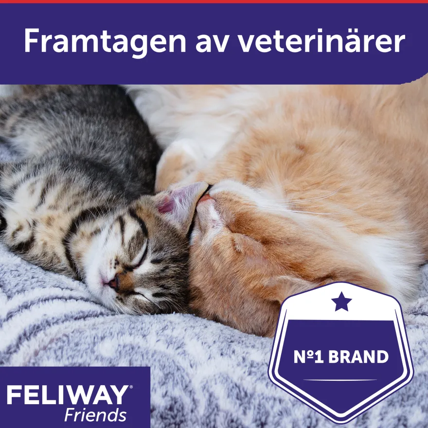 Friends duftdispenser 48 ml startsett for duftdispensere