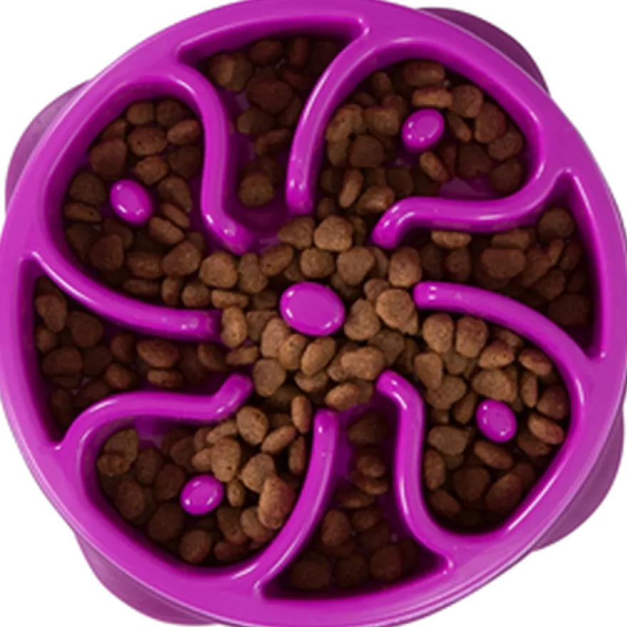 Fun Feeder Slo-Bowl