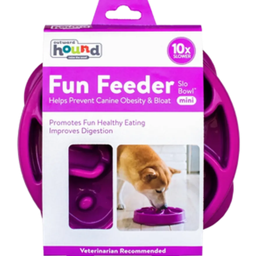 Fun Feeder Slo-Bowl