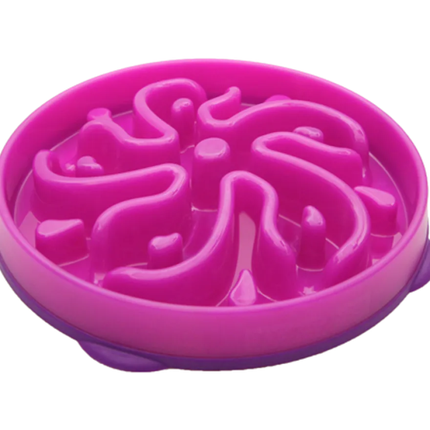 Fun Feeder Slo-Bowl
