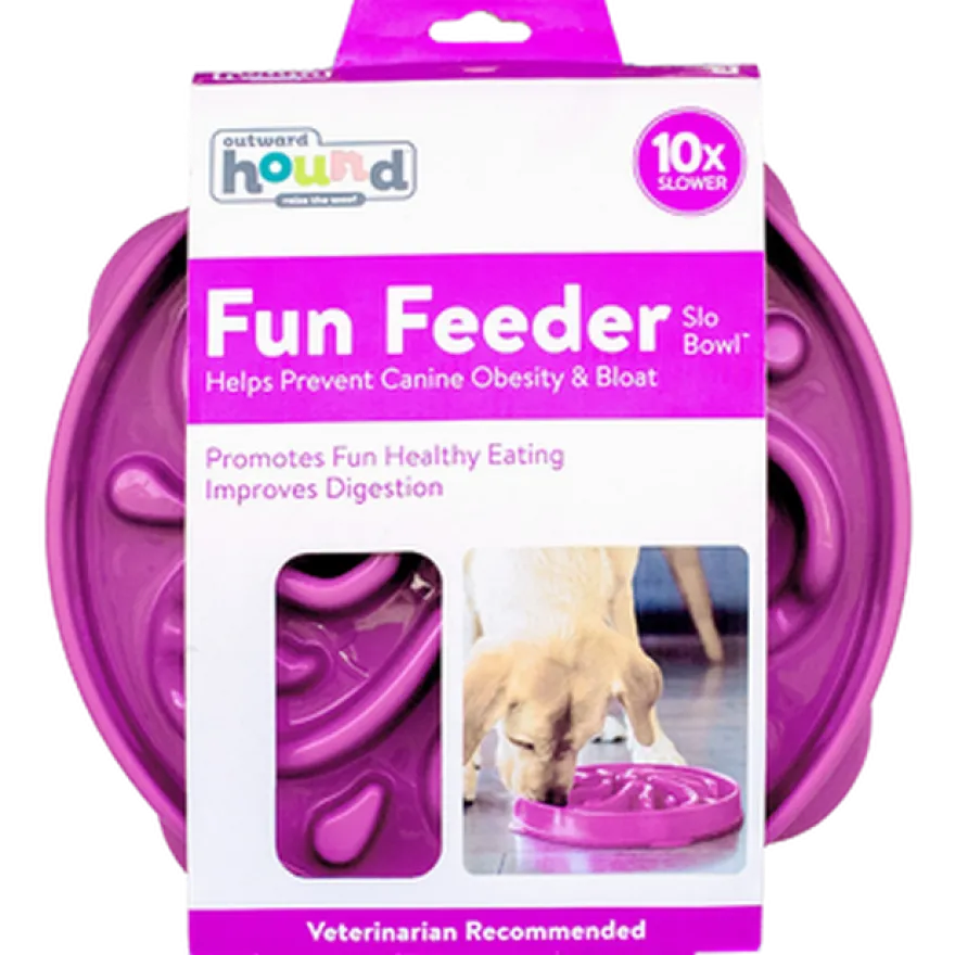 Fun Feeder Slo-Bowl
