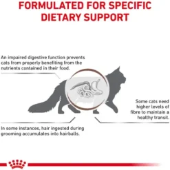 FVD Cat Gastrointestinal Hairball 4kg