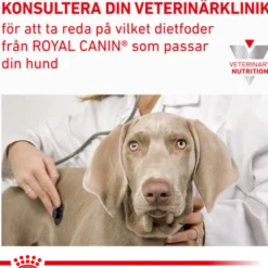 Gastrointestinal Hepatic Loaf Våtfôr for hunder 420 g