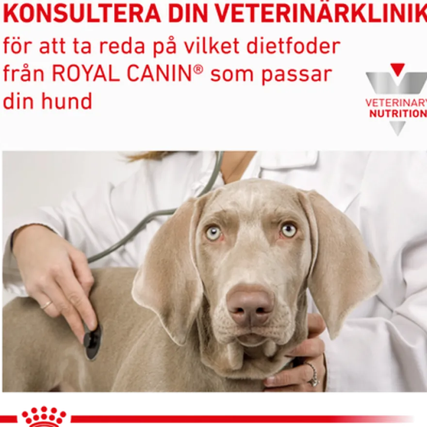 Gastrointestinal Hepatic Loaf Våtfôr for hunder 420 g