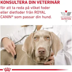 Gastrointestinal High Fibre Loaf våtfôr for hund 200 g