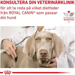 Gastrointestinal Low Fat Loaf våtfôr til hund 420 g x 12