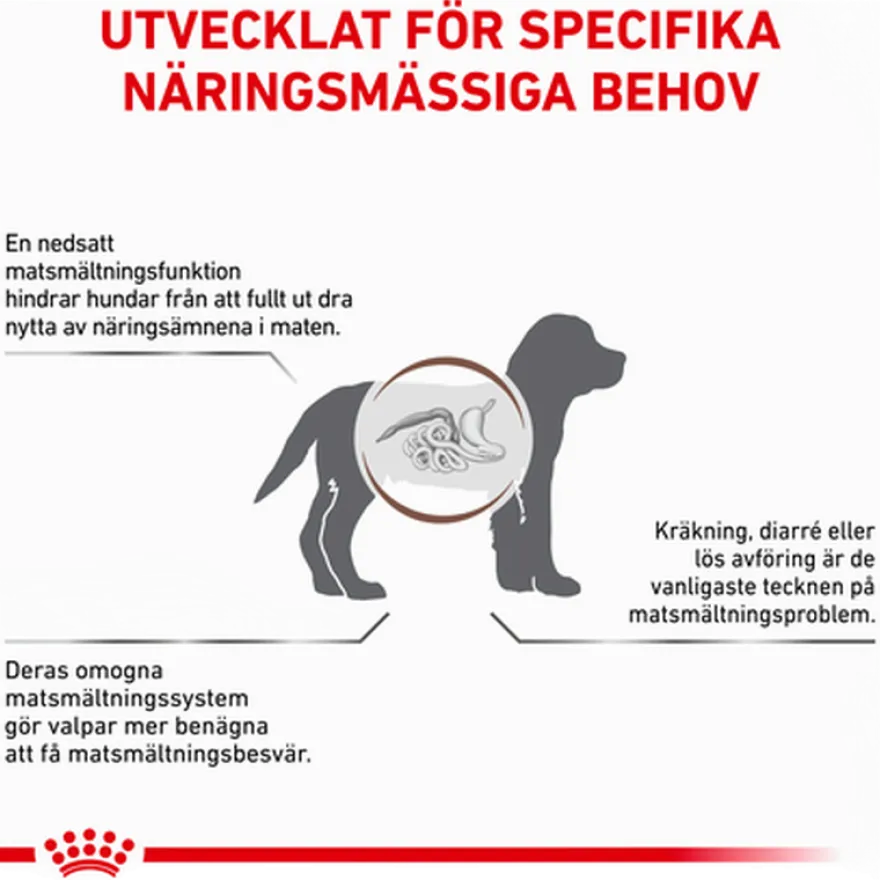 Gastrointestinal Puppy tørrfôr for hunder 2,5 kg