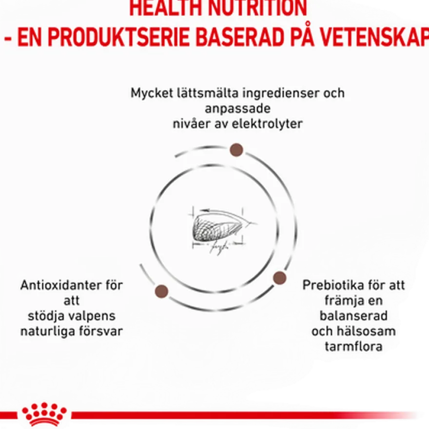 Gastrointestinal Puppy tørrfôr for hunder 2,5 kg