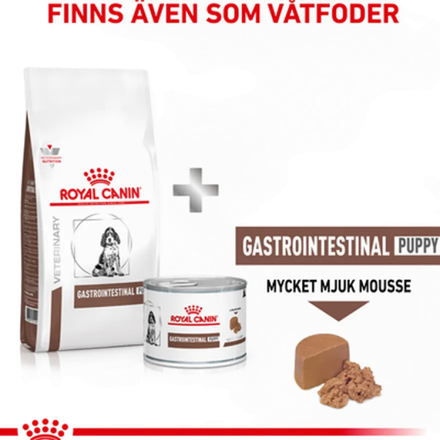 Gastrointestinal Puppy tørrfôr for hunder 2,5 kg