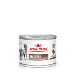 Gastrointestinal Recovery Ultra Soft Mousse Våtfôr for katter og hunder 195 g