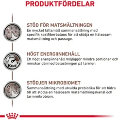 Gastrointestinal Tørrfôr for hunder 2 kg