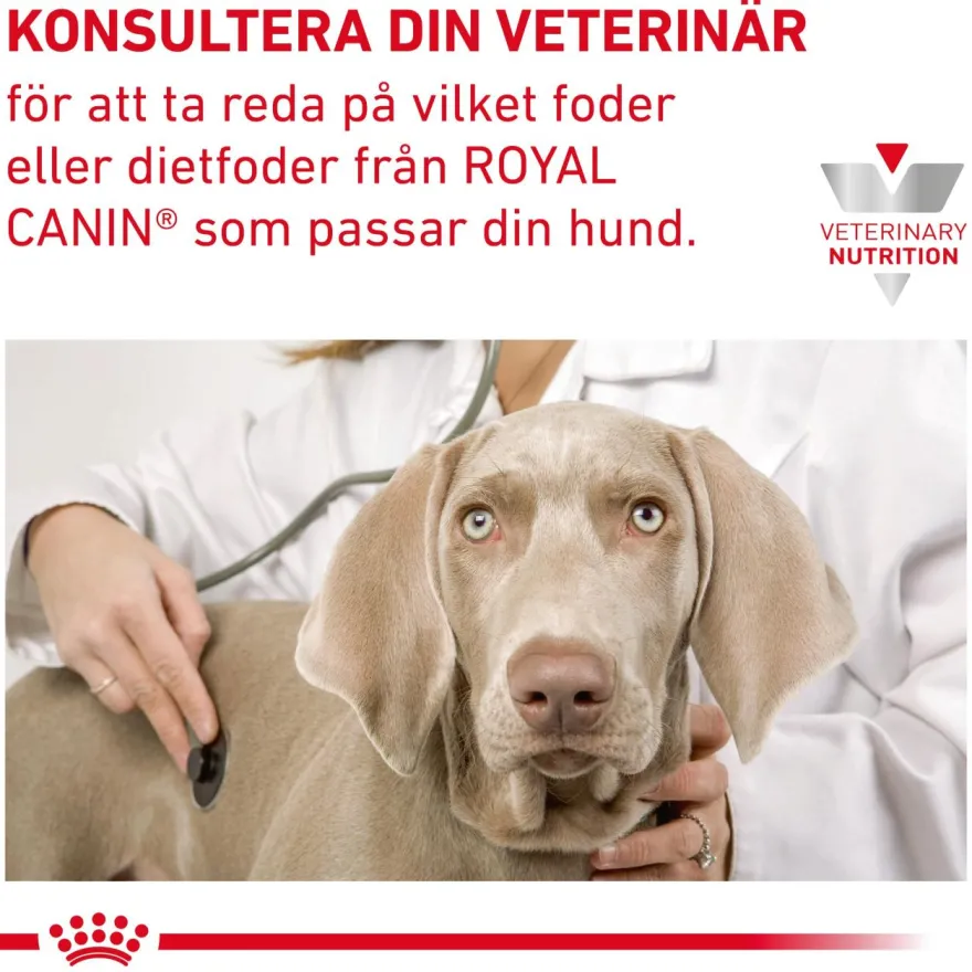Gastrointestinal tørrfôr med lavt fettinnhold 1,5 kg