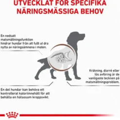 Gastrointestinal tørrfôr med moderat kaloriinnhold 2 kg