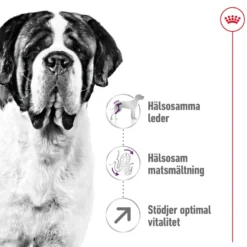Giant Adult tørrfôr for hunder 15 kg