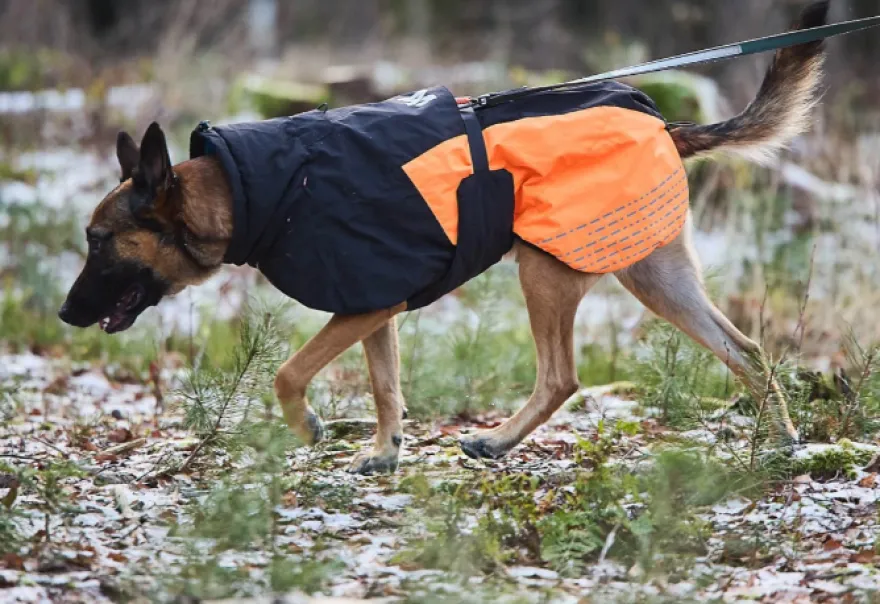 Glacier jacket 2.0 blågrønn 36 cm