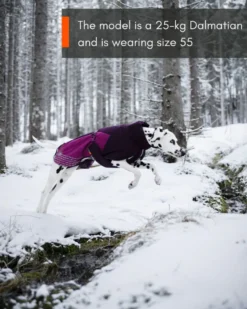 Glacier jacket 2.0 purple 33