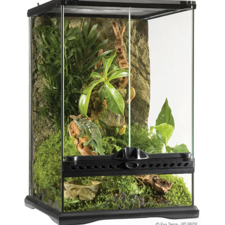 Glassterrarium Naturlig Mini/Tall - 30 x 30 x 45 cm