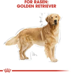 Golden Retriever Adult tørrfôr for hunder 12 kg