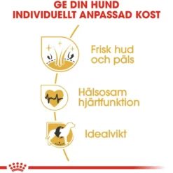 Golden Retriever Adult tørrfôr for hunder 12 kg