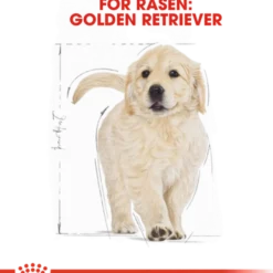 Golden Retriever valp tørrfôr for valp 12 kg