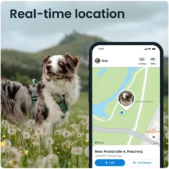 GPS DOG XL Grønn