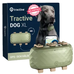 GPS DOG XL Grønn