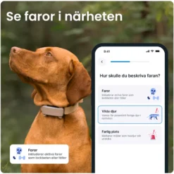 GPS-tracker for hund Dog 6 - Brun 71 x 29 x 17 mm