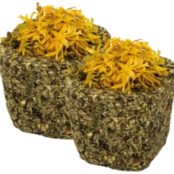 Grainless Snackbowl Green 75 g