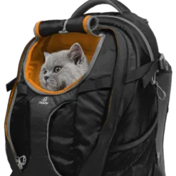 G-Train ryggsekk hund svart 53x33x25cm