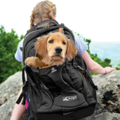 G-Train ryggsekk hund svart 53x33x25cm