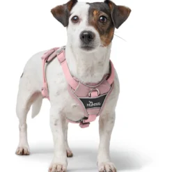 Harness Divo Up 34-47/XS Polyester antique pink