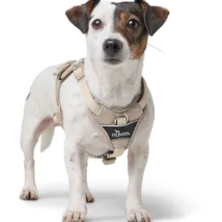 Harness Divo Up 34-47/XS Polyester taupe