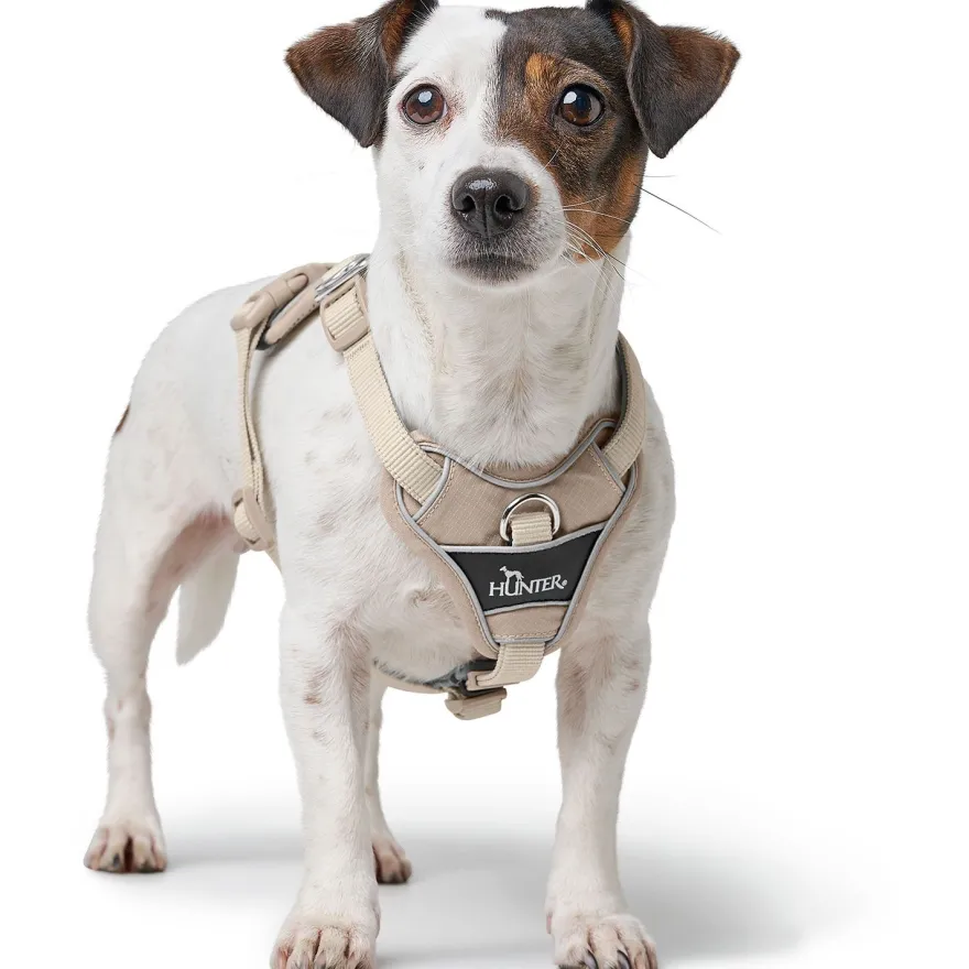 Harness Divo Up 34-47/XS Polyester taupe