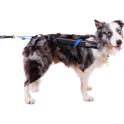 Harness Free Motion Black No. 5