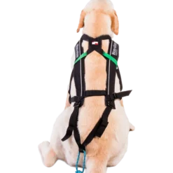 Harness Free Motion Black No. 5