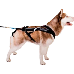 Harness Free Motion Black No. 5
