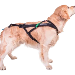 Harness Free Motion Black No. 1