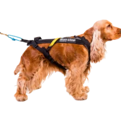 Harness Free Motion Black No. 1
