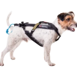 Harness Free Motion Black No. 1
