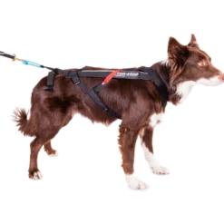 Harness Free Motion Black No. 1