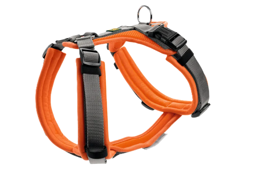 Harness Maldon Up Polyester orange/grey 34-49/XS