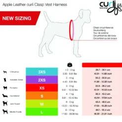 Harness Vegan Apple Leather Svart