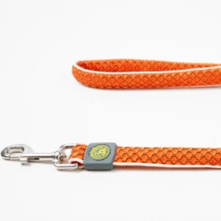Hilo Leash 20/180 Orange