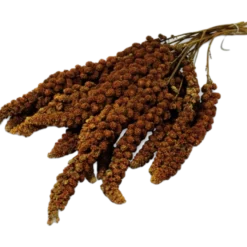 Hirsekolbe 250g