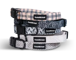 Hundehalsbånd Chicish justerbart XS, 15mm x 28-43cm Mønstret