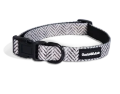 Hundehalsbånd Modish justerbart XS, 15mm x 28-43cm Mønstret