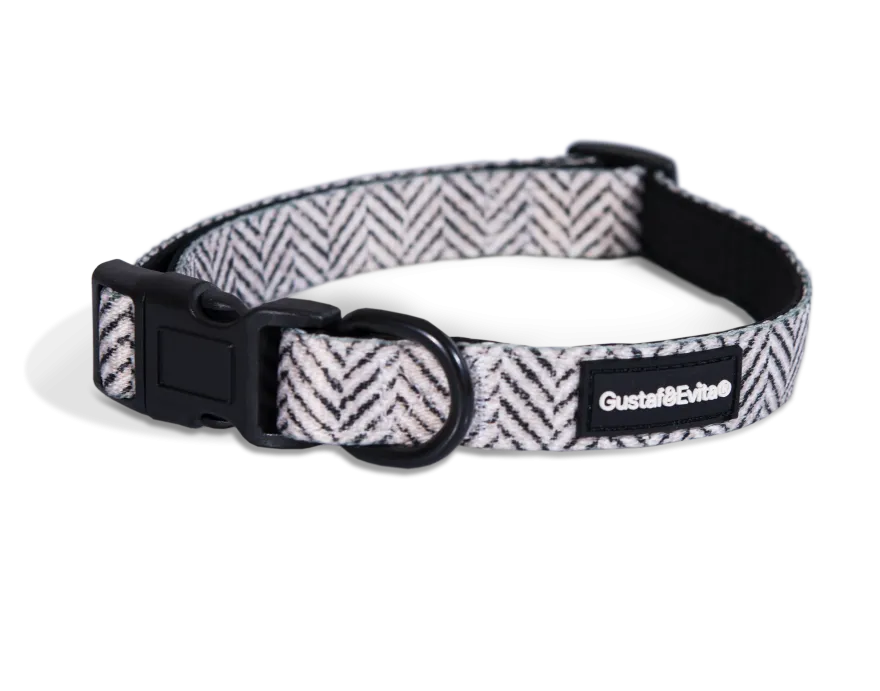 Hundehalsbånd Modish justerbart XS, 15mm x 28-43cm Mønstret